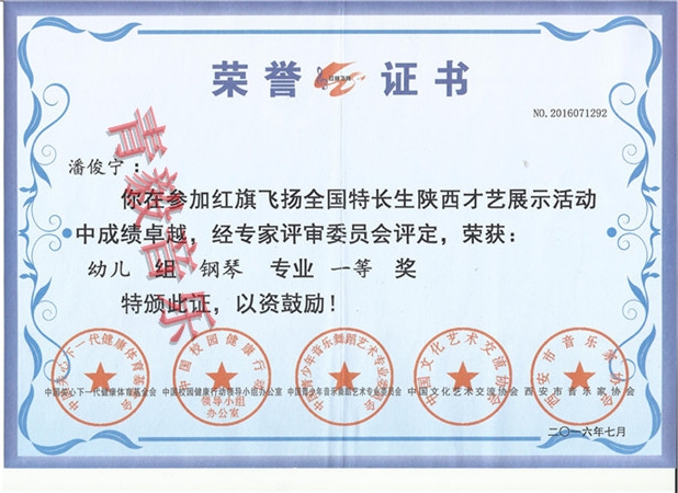 獲獎榮譽